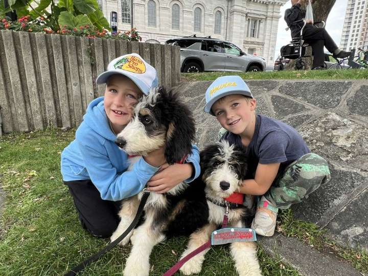 Kingston Humane Society sniffs out new home for Big Paws fundraiser