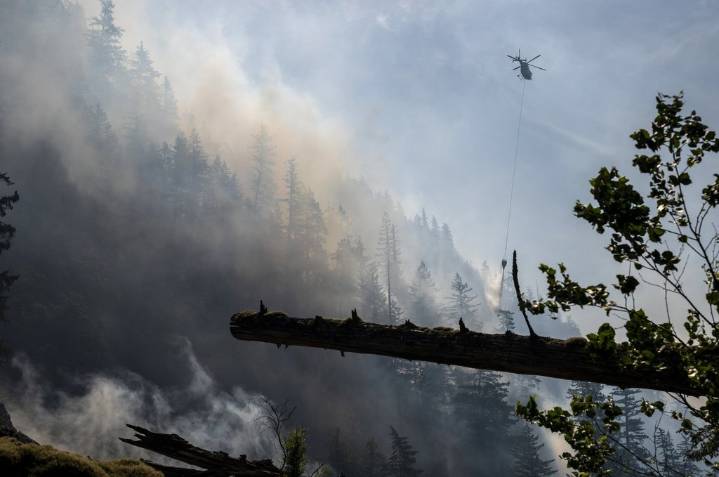 Canada’s 2030 emissions target is out of reach after progress stalled in 2024: report