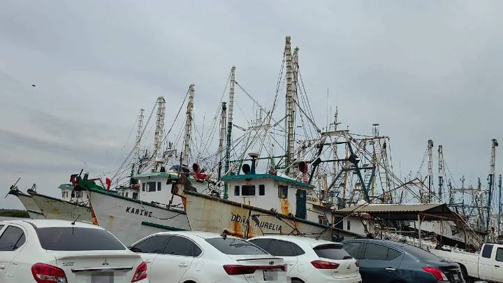 ‘Aquí andamos dando vueltas... no hay trabajo’, dicen los pescadores por no lograr embarcarse esta temporada