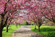 Comienza la primavera: qué clima se espera según el SMN