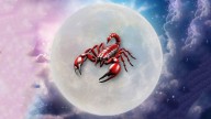 Astrología: los 5 signos que brillarán con la entrada de la Luna en Escorpio
