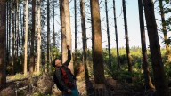 Management projects across Kitsap aimed at restoring healthy forests