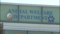 Albuquerque's Animal Welfare Department hosting volunteer fair