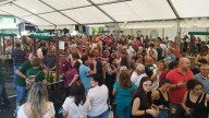Récord de participación en el noveno concurso de sidra de Piloña: "Nunca tuvimos tanto"