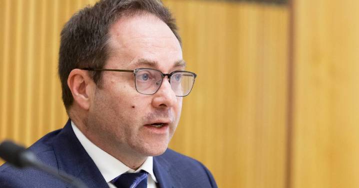 Albanese govt urged to finalise media levy plan by end of 2025