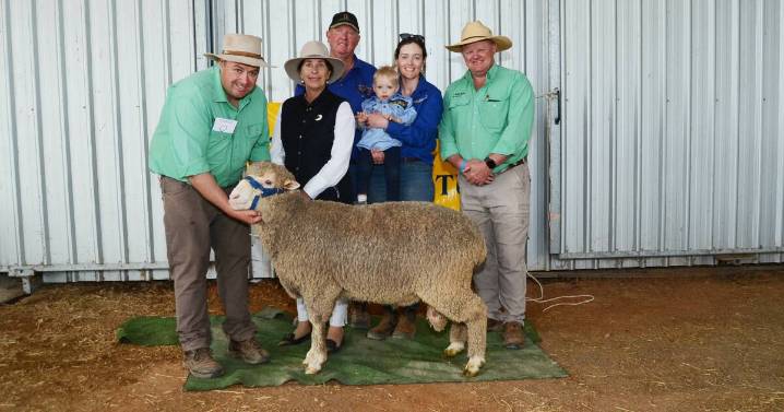 Bella Lana 2025 ram sale results, top price and average