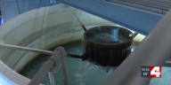 Testing showing higher level of PFAS contamination in water source has the Collinsville water department recommending additional steps