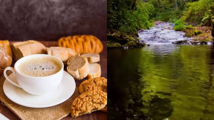 Disfruta de la Tercera Expo Café y Pan Artesanal en Huauchinango, Puebla