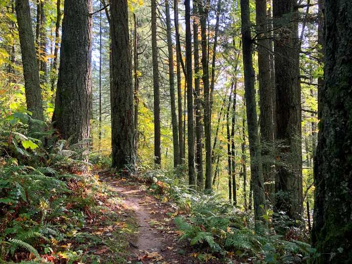 Portland’s warm Wednesday comes with plenty of sunshine, highs in mid 80s