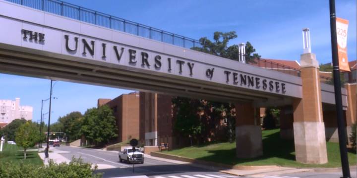 Letters between UT Chancellor Donde Plowman, Tamar Shirinian outline assistant professor’s firing over Charlie Kirk comment