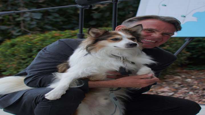 Macomb County launches pet microchip scanning stations