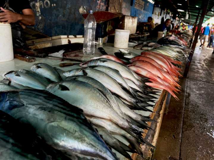 Pescaderos del mercado nuevo reportan bajas ventas ante alza de precios