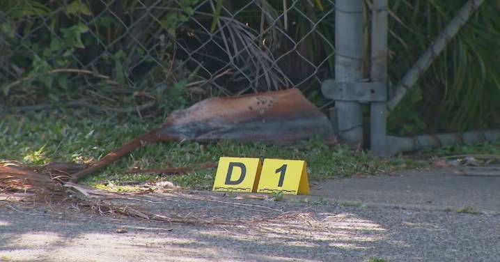 Logan: Man, 35, shot in 'targeted' shooting in south