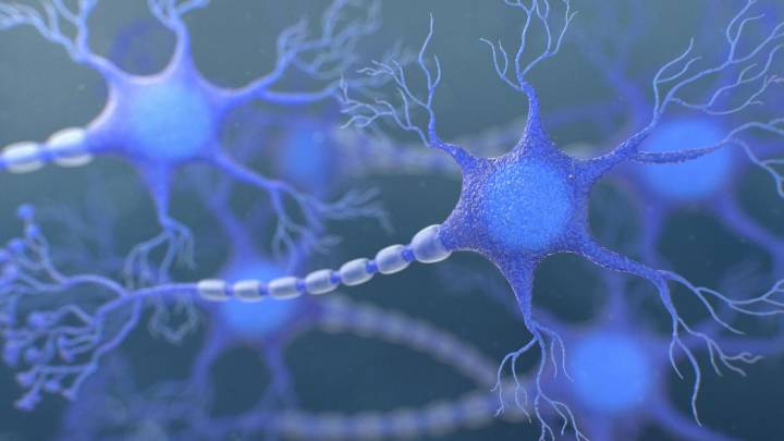 Mejora el diagnóstico precoz de la esclerosis múltiple, un avance clave para frenar la enfermedad