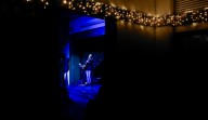 The Iowa Photo: Bathed in Blue in Cedar Rapids