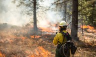 FireSmart BC launches wildfire safety curriculum for schools