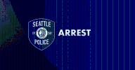 Police Recover Modified Gun, Arrest Two Teens in Connection to Drive