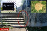 Exclusive | Coaches, parents confront brazen rogue dog owners at NYC park