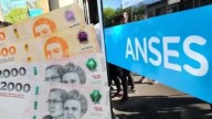 Monto de pensión por discapacidad Anses septiembre 2025