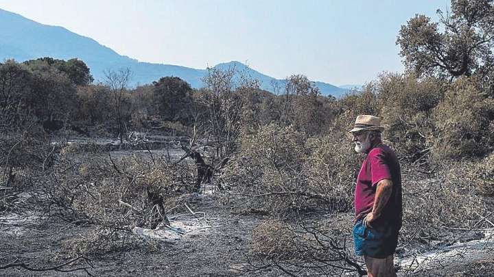 Agricultores critican las ayudas de la Junta por los incendios: "Dos millones de euros para compensar pérdidas por valor de 45"
