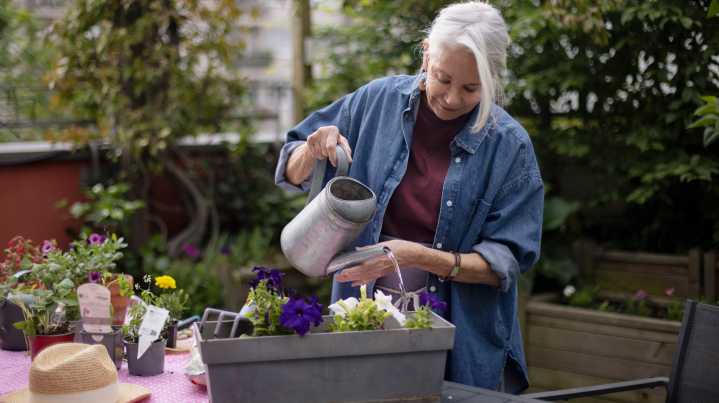 Gardener Warned About Aggressive Pollinator Plant: 'Cut It Back Before It Seeds'