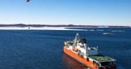 Scientists to research bird flu on Antarctic islands