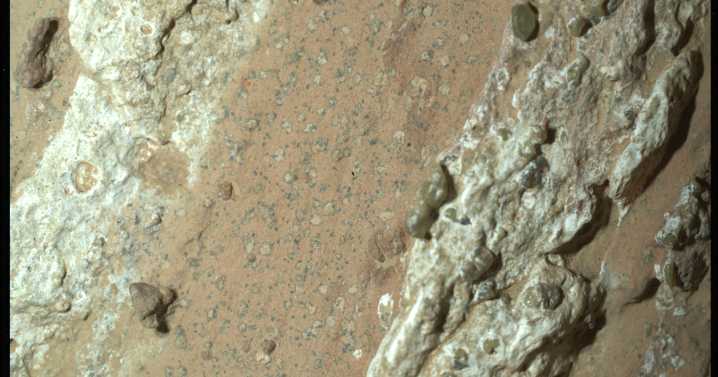 Life on Mars? NASA says a rock sample shows potential signs of ancient life