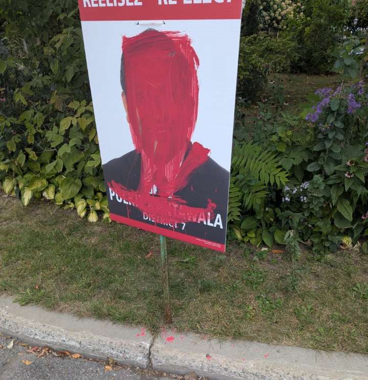 Municipal election campaign posters vandalized in DDO