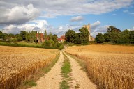 Agromenes: Why is our tax money not being spent on British food?