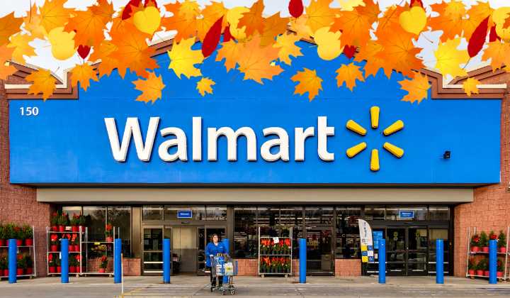 7 New Throw Pillows From Walmart and Target Are Fall’s Coziest Decor