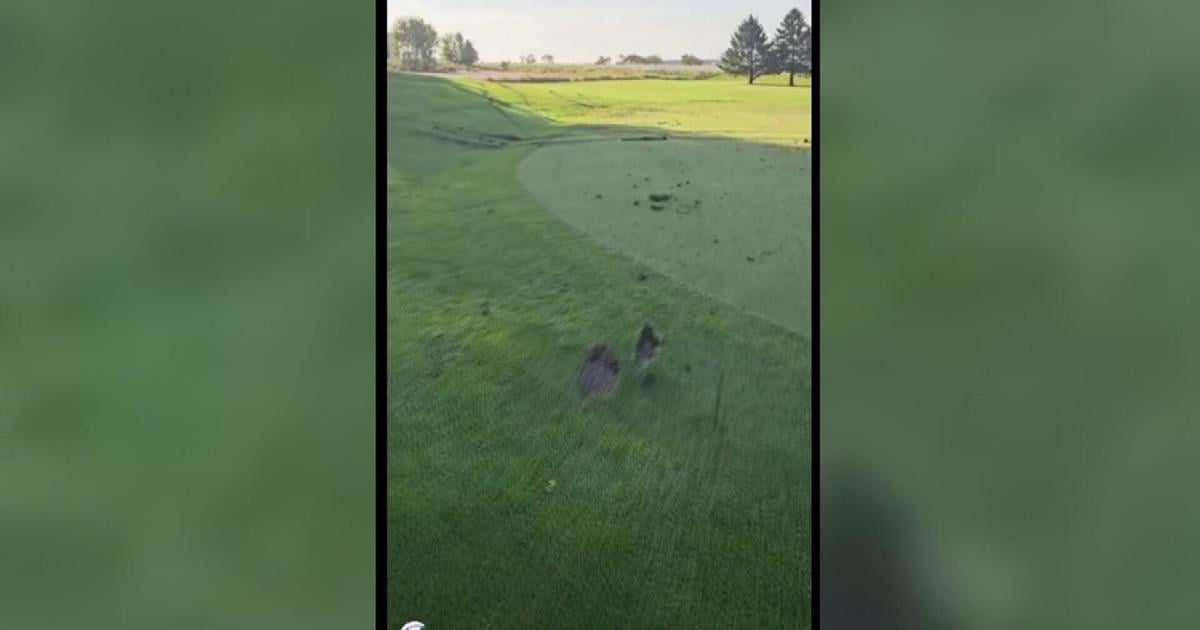 Golf course offers $2,000 reward after vandalism to green and fairway