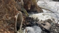 Llama a exigir acciones ante crisis ambiental