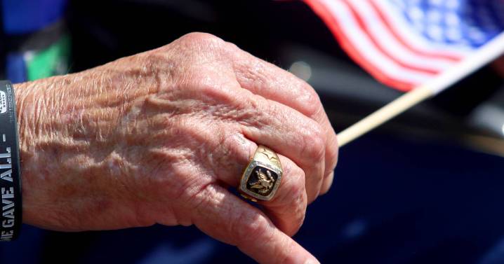 Mental Health Board: McHenry County’s many resources for veterans include upcoming summit