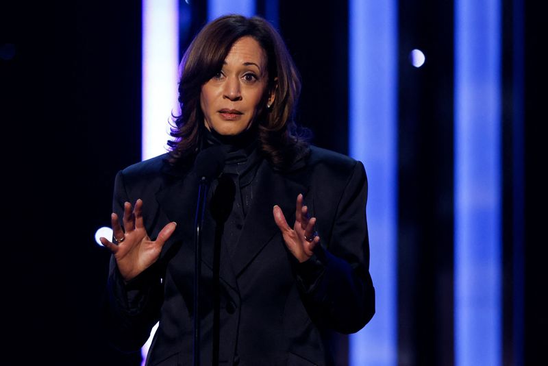 Kamala Harris calls Biden 2024 candidacy reckless, new book says