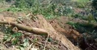 Deslizamiento de tierra en Oaxaca activa alerta en San Felipe Jalapa de Díaz; sin víctimas, pero persiste el riesgo