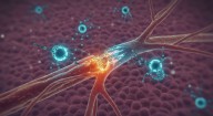 Cancer-Induced Nerve Injury—A New Frontier in Overcoming Anti