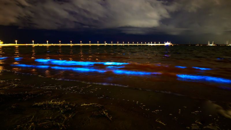 Bioluminscent algae are bathing this Australian beach in an electric blue ‘ethereal glow’