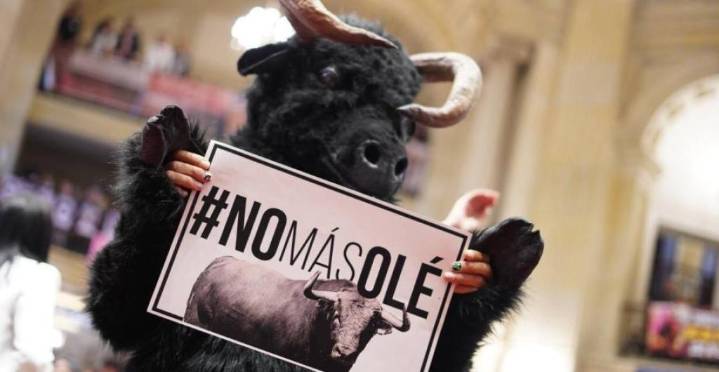 Corridas de toros no van más en Colombia: Corte Constitucional confirma su prohibición