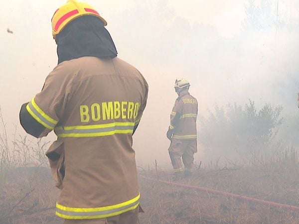 Comienzan preparativos para temporada de incendios forestales en el Biobío