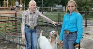 Relationships Drive Competition at Denver Fair Goat Show