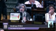 Conmovedora intervención de la diputada Andrea D'Atri contra el genocidio en Gaza