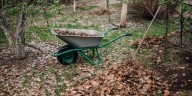 6 Gardening Tasks I Always Do in September, As a Garden Editor
