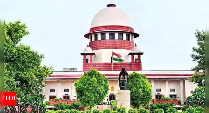 Voter registered in multiple seats can't contest polls: Supreme Court