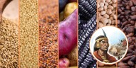 Día Mundial del Corazón: alimentos sagrados de los incas que mejoran la salud cardiovascular