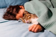 Estas son las razones por las que los gatos se acercan a personas enfermas "o con malestar físico