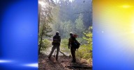 Cooler weather helps control Emigrant Fire in Willamette Forest