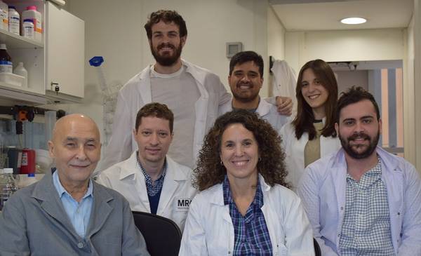 Avance científico argentino: observan con IA neurorreceptor clave en Alzhéimer
