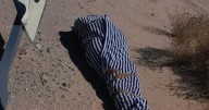 Localizan cuerpo envuelto en alfombra en zona desértica