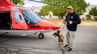 K-9, deputy injured in Tremonton shooting reunite with caregivers who saved dog's life