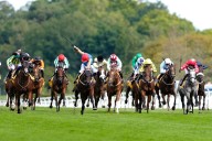 The strike to save the future of horse racing